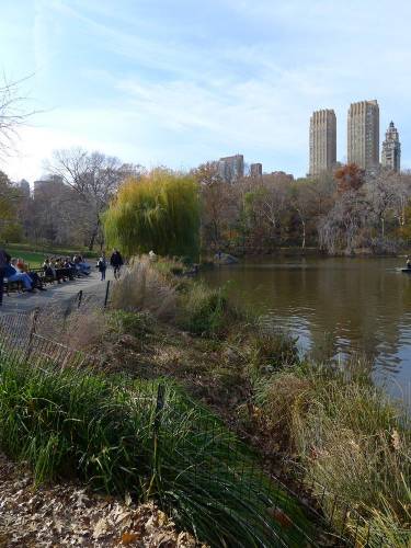 USA_2011-11-20 12-32-19